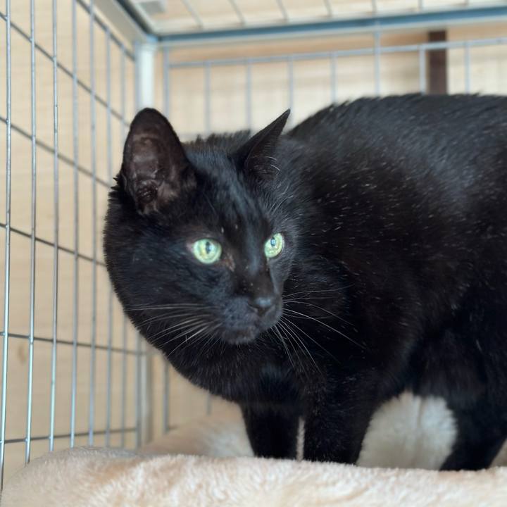 Ef85bb08 f3cb 40fd 9dac e241db1e8be0 1683080321540