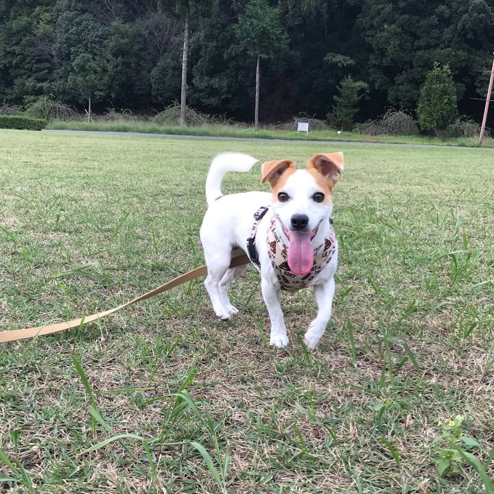 Ef86207a 7a77 4a2d 976d 62cc159ce7cb 1603357789462