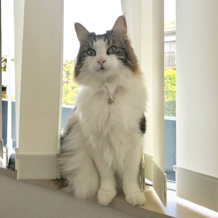 Ef8633a9 8e83 48d2 ad7c bf7cf159eea6 1524114217885