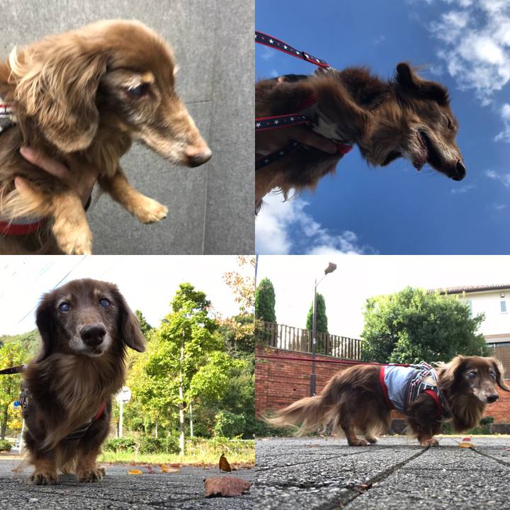 Ef864bc4 6efd 49f1 ae26 7be06d746e4a 1540697785055