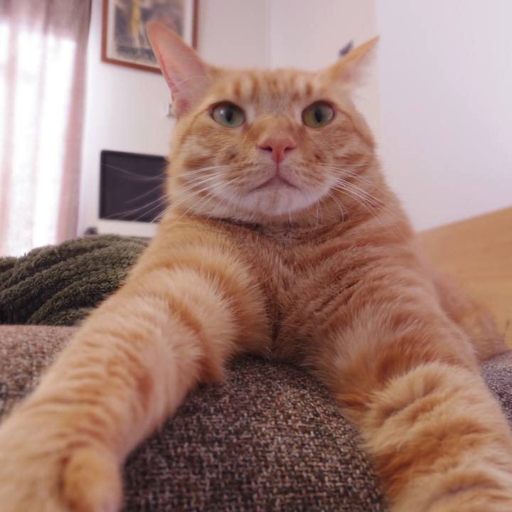 Ef869004 2f7a 4bfd 9875 3d87a0934a7a 1545433923903