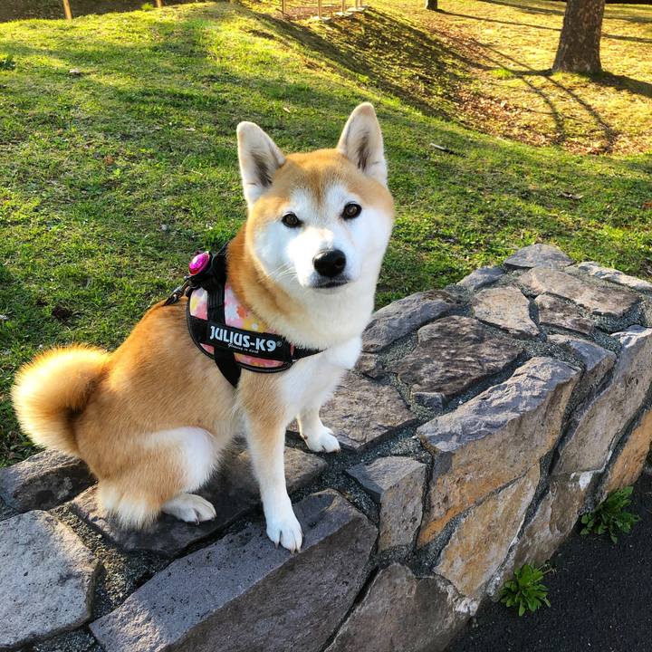 Ef869255 3549 487f a51a 2f62ccffd10e 1588667133533