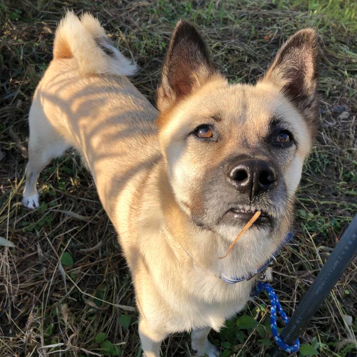 Ef86da8c 93f1 44f4 a550 ea92ac6f4a24 1538366437246