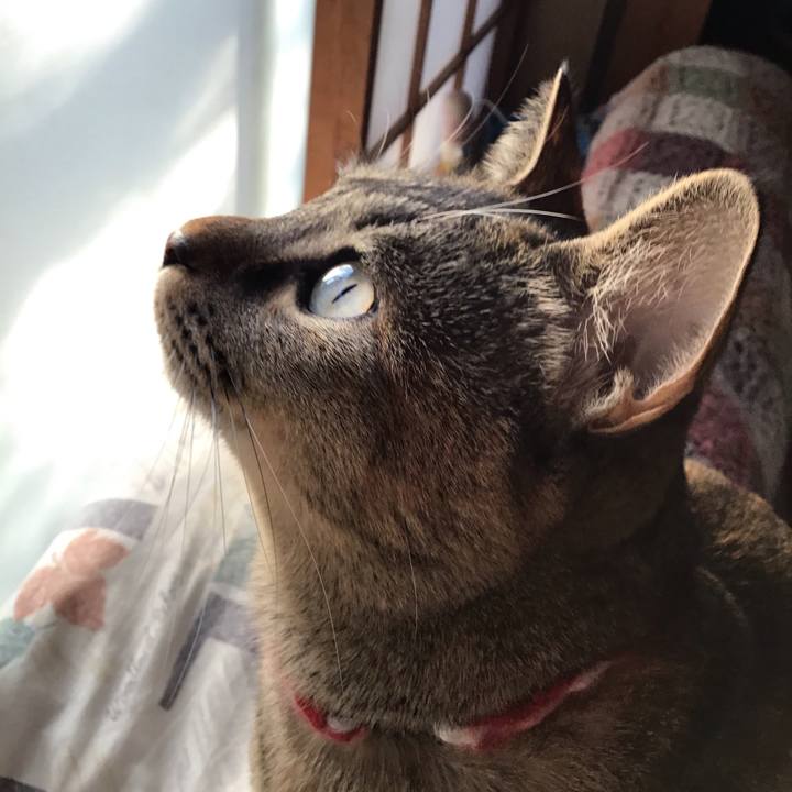 Ef870929 66a3 44f7 b82a 410ebedc4d4c 1606864511182