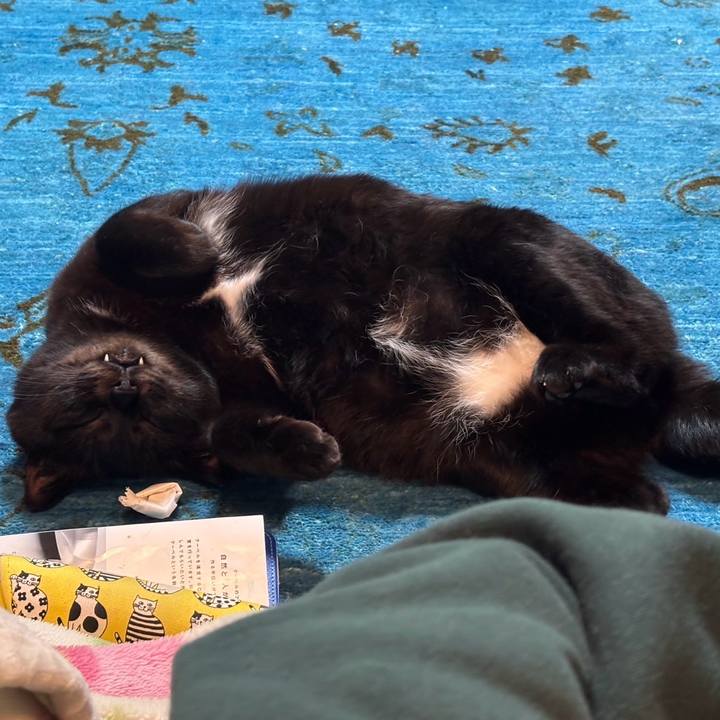 Ef87335f 7998 4b2e ba48 13efb2d95160 1738392993398