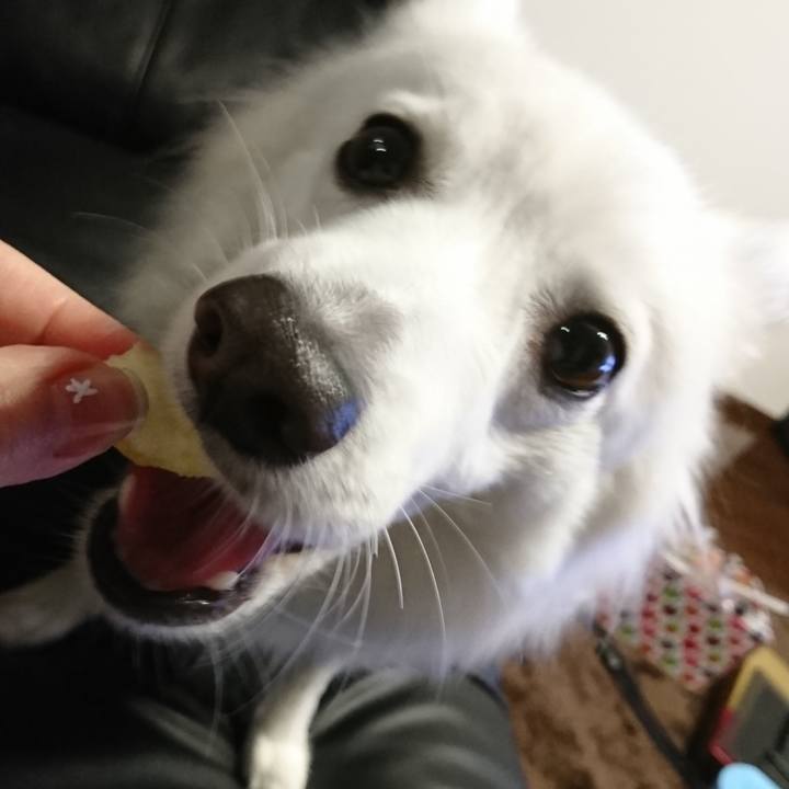 Ef874fa6 041e 4a4d ac40 a9987c6b49f6 1544193169909