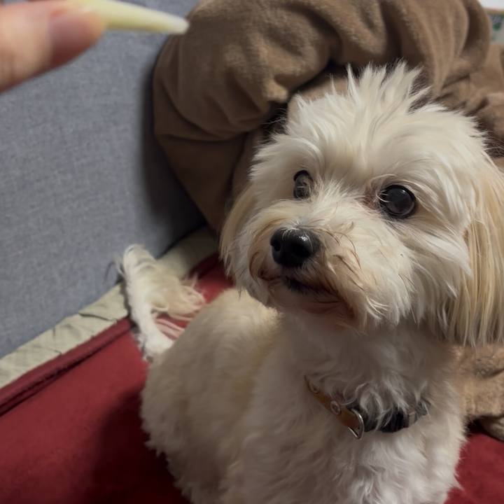 Ef875d8a ceaf 481c 9de6 405f5d3f1403 1763802760857