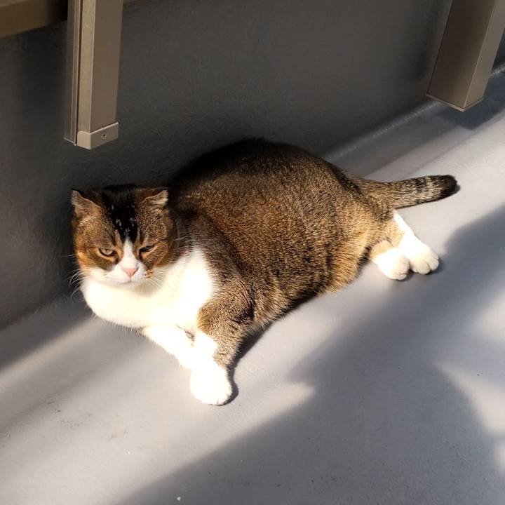 Ef8771dc 60b9 4f79 a447 3e0b1e90579a 1667359793855