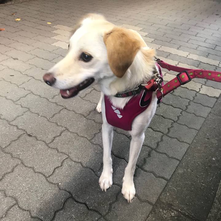 Ef8786ce 7103 4c72 8263 6a07953f7470 1534086300152