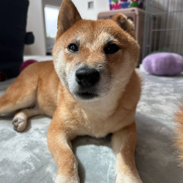 Ef879ea0 d65b 4d12 9b89 8b37cc6b2c30 1772085453895