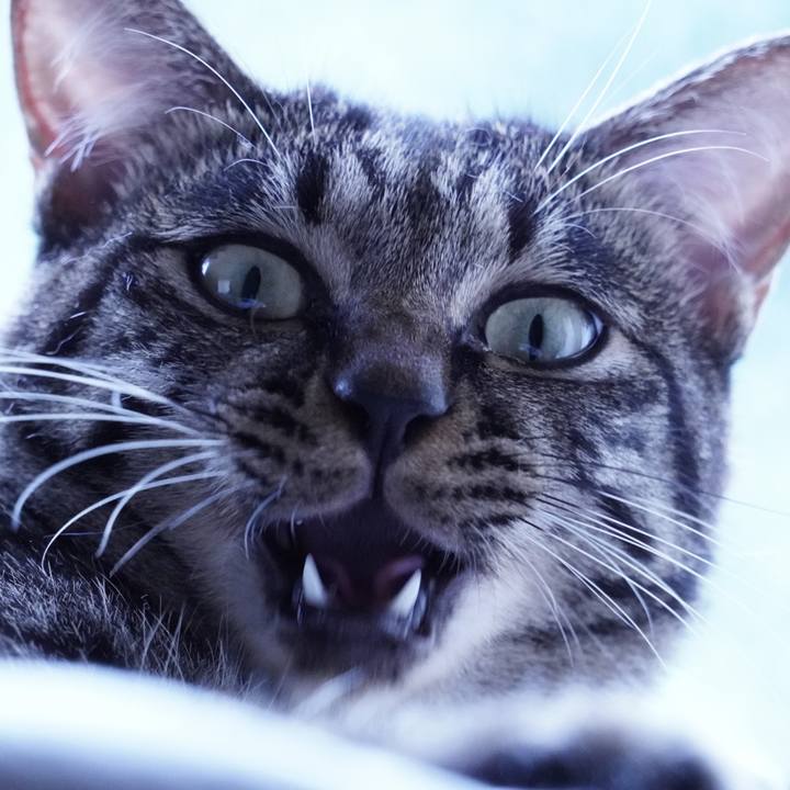 Ef87a81b 1ee1 458b 954f a3d059b77a2f 1629980148886