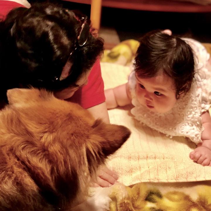 Ef87cf6b 0fe8 4342 b54a 044664fd5363 1569046957514