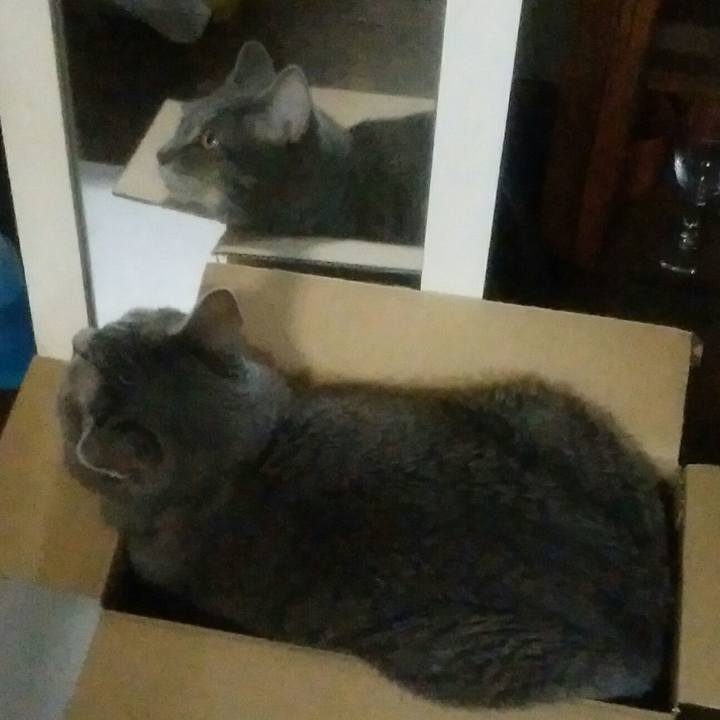 Ef87fffc c472 4a3d 94a3 ede23f41f70b 1535871586694