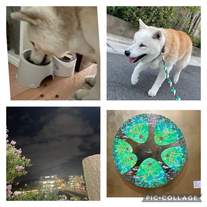 Ef886847 8861 4ed8 bb43 439fd4022678 1723854633255