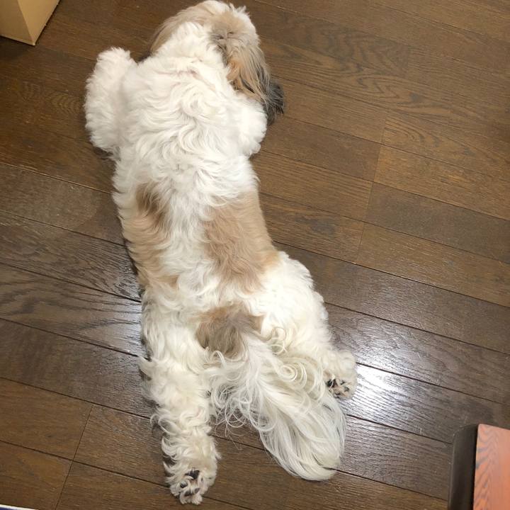 Ef88a9bb c9f5 4c38 99a8 204a7bfdfdef 1534225408964