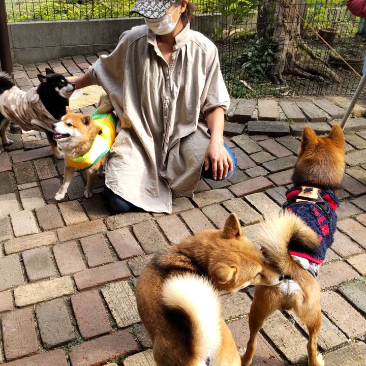 Ef88dde4 bc3f 43a0 a8a9 6c7788c16b6c 1637574161769