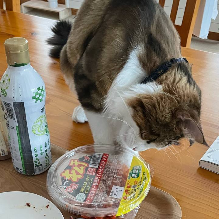 Ef88fab0 a50a 491d 8789 bc14839bbd9f 1661204598059