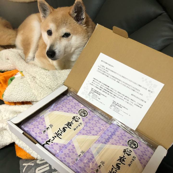 Ef893c58 e12a 4726 b274 f9c04023eb16 1583974986597