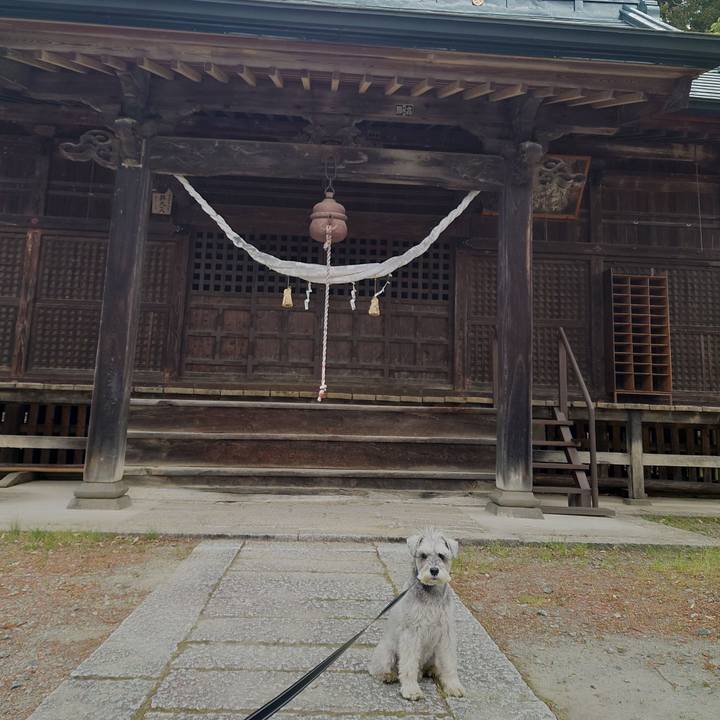 Ef89515d 4c6c 4be5 9520 d120ee74dee9 1776207938753