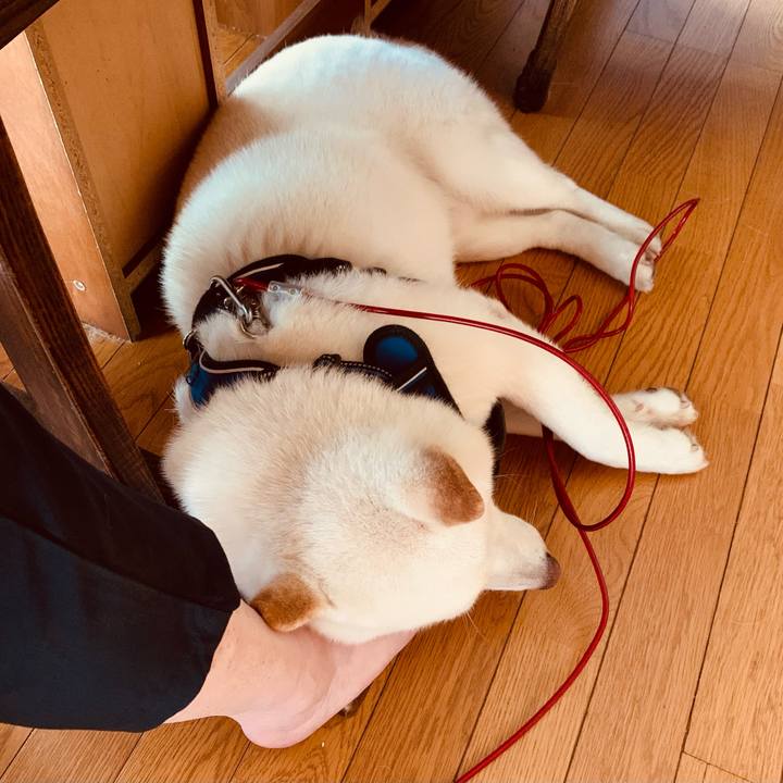 Ef89858d 6543 4477 888a 9d536b334c5b 1626843154061