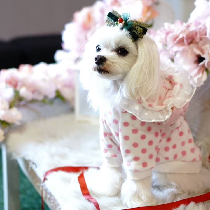 Ef899beb a1b2 49ba bd9b d4a0c330b0af 1675219268991