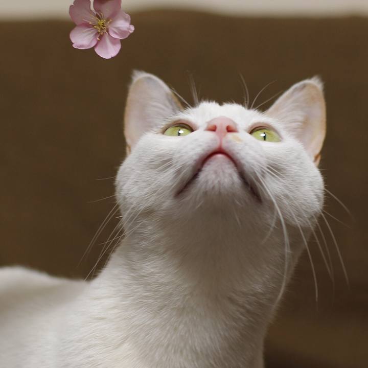 Ef89fe59 54a5 4f13 9716 6a66194218a1 1584410246247