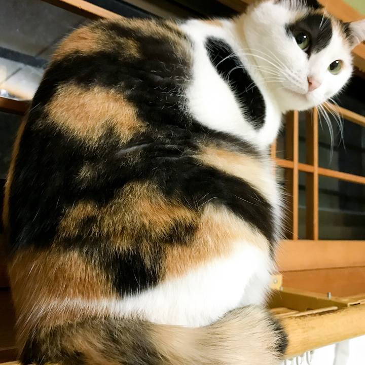 Ef8a0e93 1651 418c 82d7 5124351903a5 1516111574038