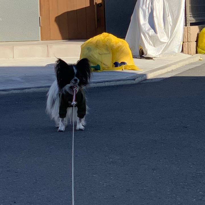 Ef8a13f8 6e7a 45c1 bab7 4a570bc56742 1549928113057