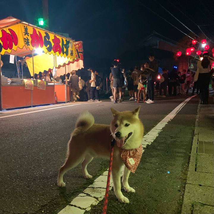 Ef8a3f18 1317 4c79 a6e3 96c82d69c63e 1657885860284