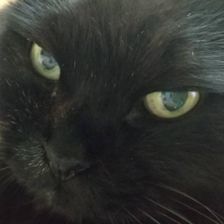 Ef8a53da 8fa5 47ff 9489 2a36b091a019 1622761273819