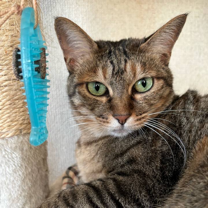 Ef8a84a9 755d 4515 ab86 1ac977471d65 1719964454534