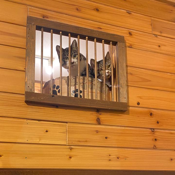 Ef8aaab8 e25c 4b53 8ec8 9a52ac445a3b 1707124619548