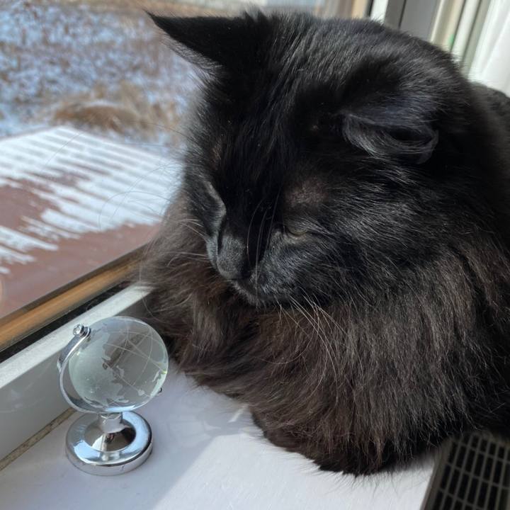 Ef8ac1d1 a071 439e 84cf a3179d110430 1578828617298