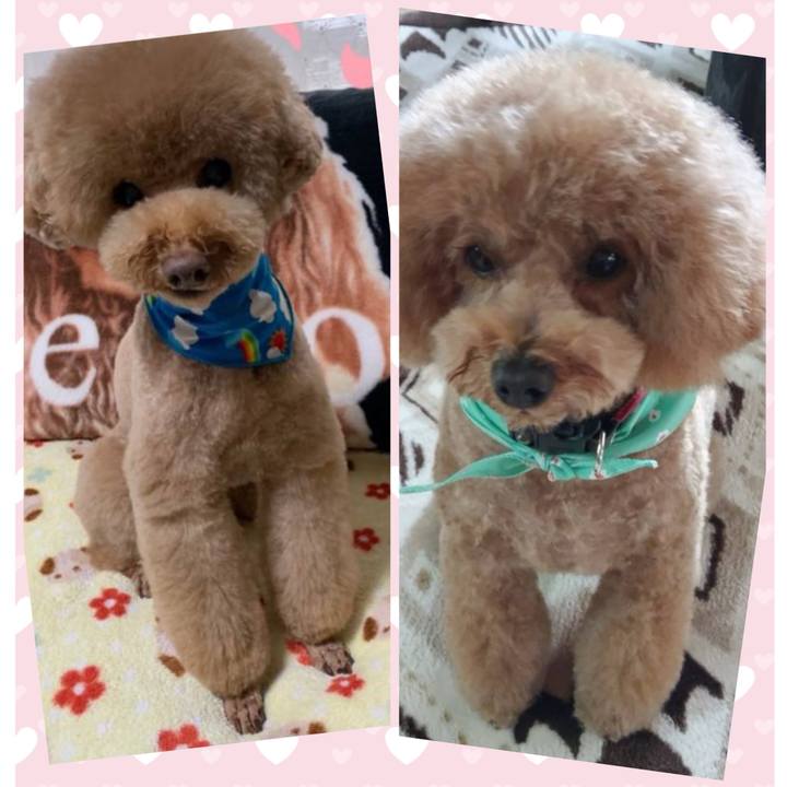 Ef8b2414 b278 420c 81a9 e6367615942e 1740745594339