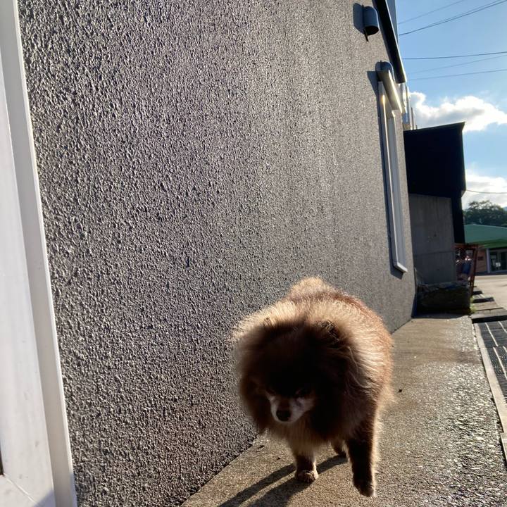 Ef8b3f2d d40a 4cf0 aca0 6850a89f2333 1688688153412