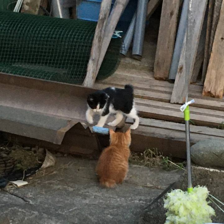 Ef8b892a 561b 4a8a 83f3 05d249186cde 1626585941454