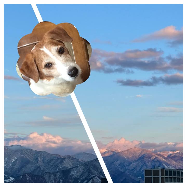 Ef8bbfed 9018 461d 9957 f90751986116 1645611894896