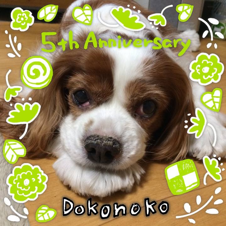 Ef8bc33a 4536 4b9a aabe 0c58da98251d 1622866639580