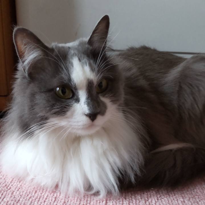 Ef8bc3b3 6e74 4afe be8b 5fc0acdab67f 1622513385699