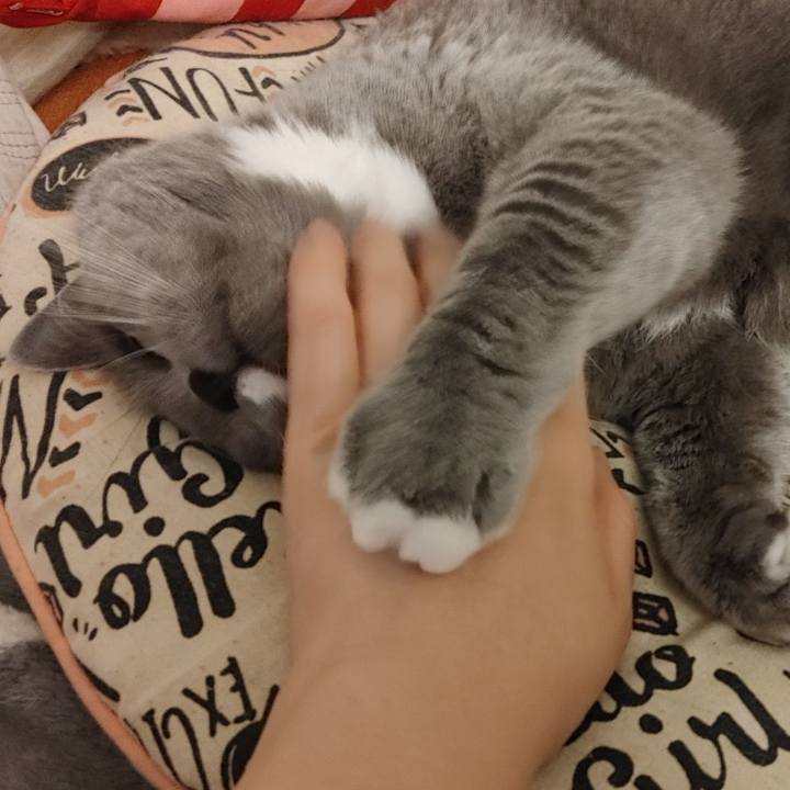 Ef8be3f6 a388 4226 89d7 1cdfcb40ead3 1621076633081