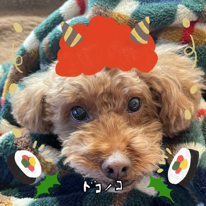 Ef8c14f7 4cff 4341 b6cf 5c7996869bef 1706753929832