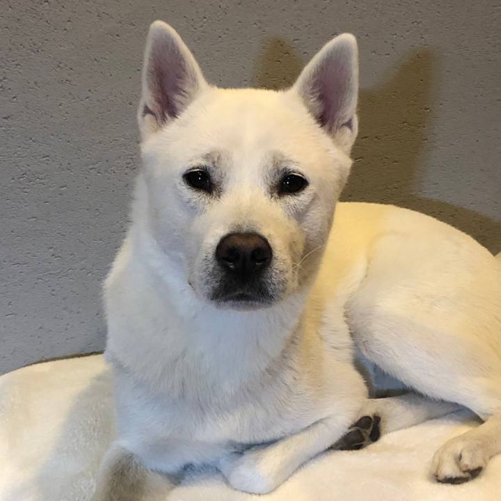 Ef8c35de 67c3 4403 b17d 8c64994022e9 1592399741006