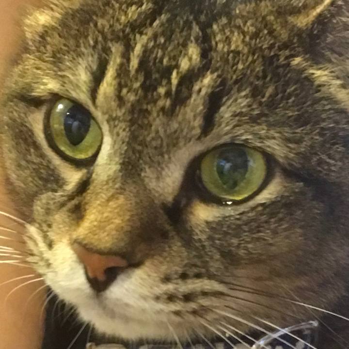 Ef8c4b29 d9ce 4ec2 bbb5 5b85007488d4 1566651926061