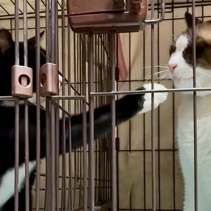 Ef8cce32 47a4 43c7 8a08 e62b37ee5661 1754772325013