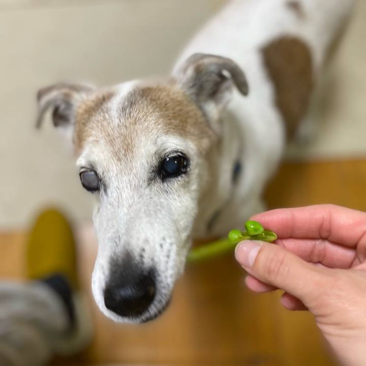 Ef8cd664 44b5 4947 b2ae c2f1502819fd 1680354908064