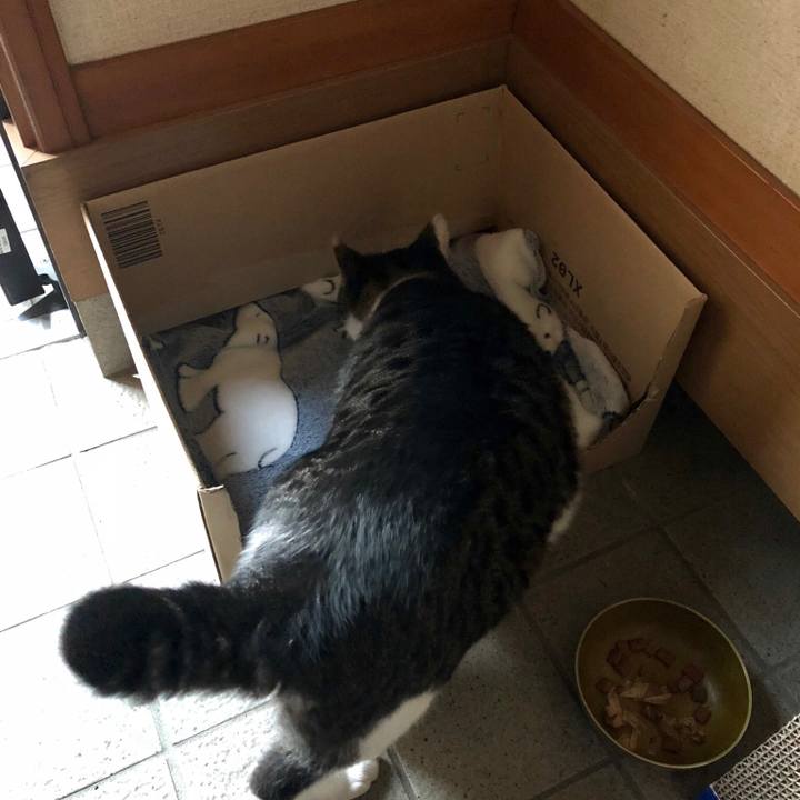 Ef8cf089 b58d 42d7 aa24 a614cb804bb8 1540374075791