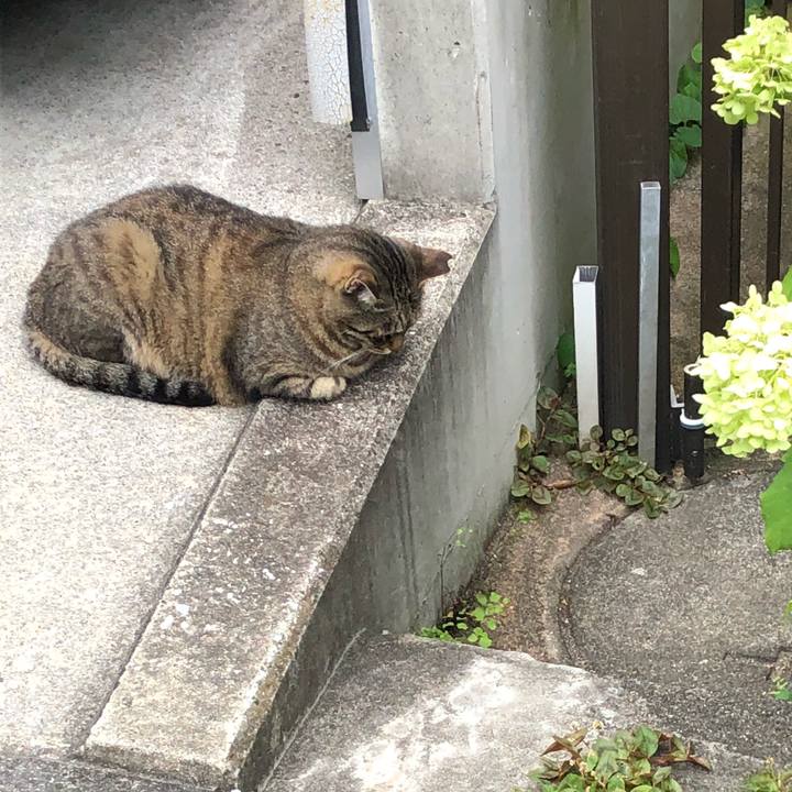 Ef8cfdcf 23b8 42e1 8ecb cebe0f073e1c 1530784893275