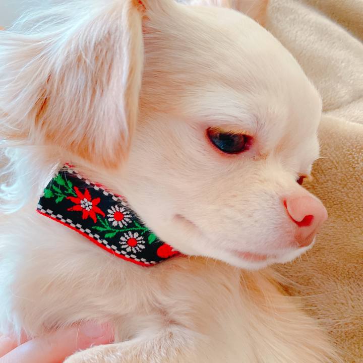 Ef8d24b4 548f 4c96 8ced c50bc1e125bf 1644542522095