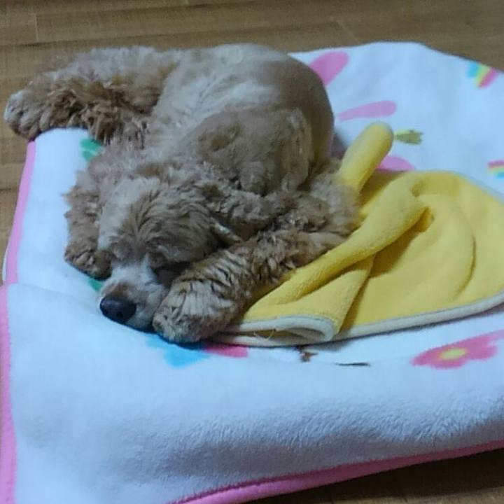 Ef8d2d46 1bba 45df 82e2 bc8d9aa7b766 1509195342172