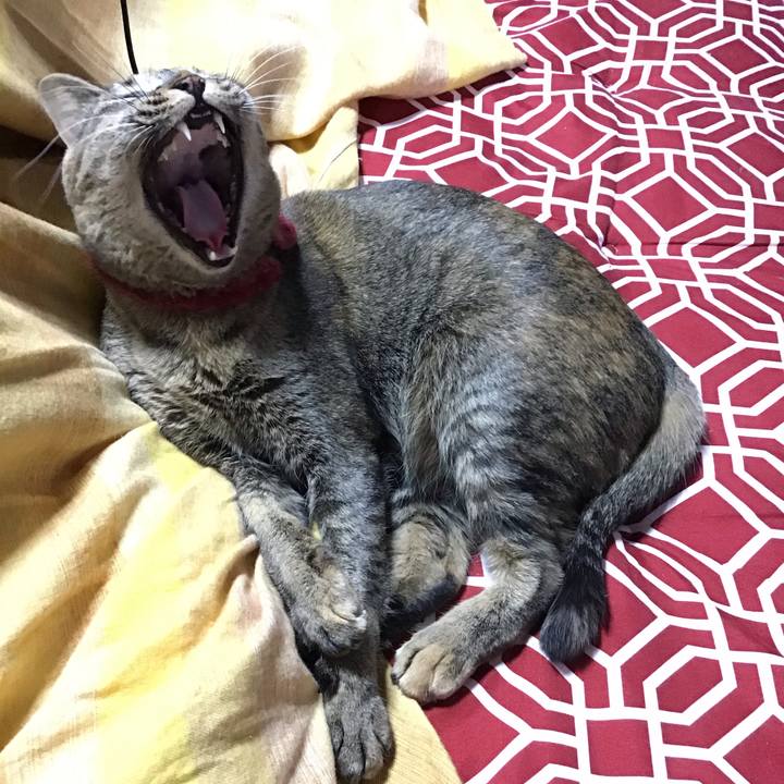 Ef8d3b12 3395 44ec ac39 ac0a29099085 1611811965960